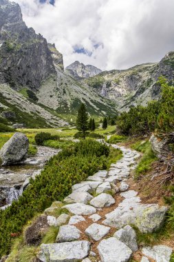 Slovak dağlarında bahar dağı manzarası. Tatra Dağlarındaki Küçük Vadi Çayırları.