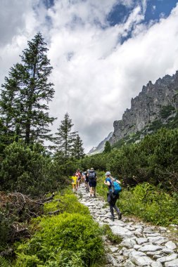Strbske Pleso, Slovakya - 17 Temmuz 2023: İnsanlar High Tatras 'ta yürüyüş yapıyor.