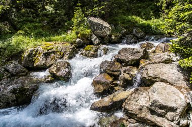 Slovakya 'daki High Tatras Ulusal Parkı' nda Hrebienok yakınlarındaki soğuk su deresinde güzel uzun şelaleler..