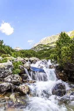 Waterfalll Skok Trail 'den. Taş yürüyüş yolu olan Mlynicka vadisi. Slovakya 'daki yüksek Tatras dağları