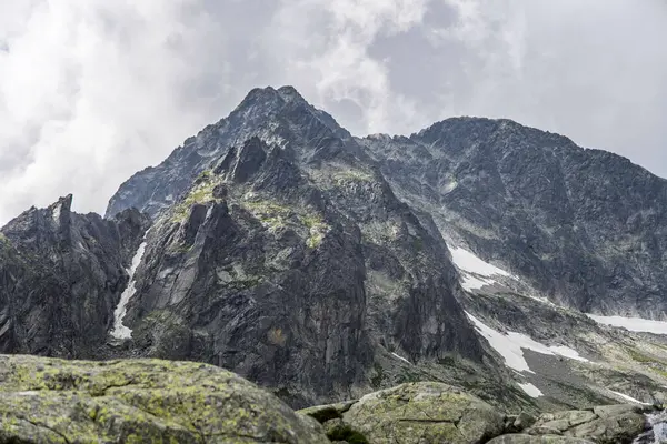 Strbske Pleso, Slovakya - 17 Temmuz 2023: Slovak dağlarında bahar manzarası. Tatra Dağlarındaki Küçük Vadi Çayırları.