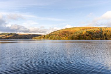 Brecon Beacons Blaen y Glyn Isaf Pontsticill Su Deposu.