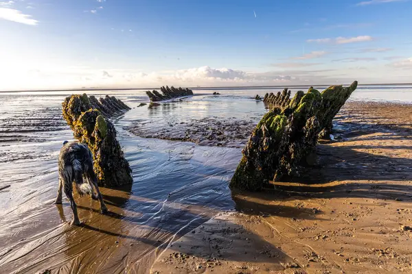 stock image The wreck of the Norwegian ship SS Nornen which ran aground on the beach at Berrow near Burnham-on-Sea, UK in 1897 due to gale force winds.