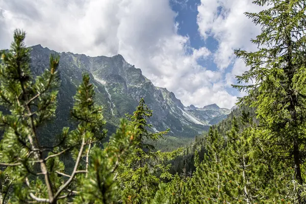 Strbske Pleso, Slovakya - 17 Temmuz 2023: Slovak dağlarında bahar manzarası. Tatra Dağlarındaki Küçük Vadi Çayırları.