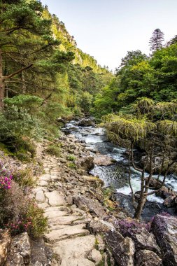 Afon Colwyn, Gwynedd, Galler 'in kuzeybatısında, Afon Glaslyn' in bir kolu olan küçük bir nehirdir..