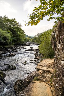 Afon Colwyn, Gwynedd, Galler 'in kuzeybatısında, Afon Glaslyn' in bir kolu olan küçük bir nehirdir..