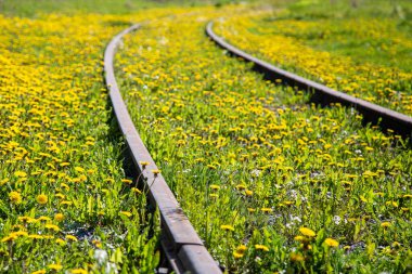 Eski paslı raylar. Tramvay izleri, otlar ve karahindibalarla kaplanmış. Ekoloji konsepti, modası ve nostaljisi.