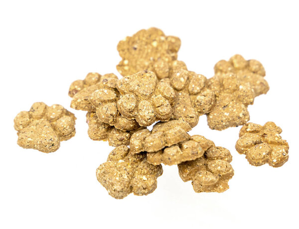 Собака в форме лапы лечит печенье с собачьей лапой.