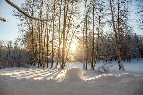 stock image A serene winter landscape unfolds with a snow-covered path winding through a sun-dappled forest. The golden rays of the setting sun filter through the bare branches of the trees.