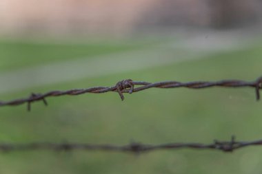 Auschwitz, Poland- 16 Temmuz 2023: Auschwitz toplama kampı müzesinde dikenli teller