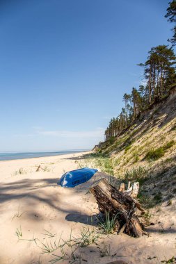 Sandy beach with a steep coastline with blue boat upside down on the Baltic Sea. clipart