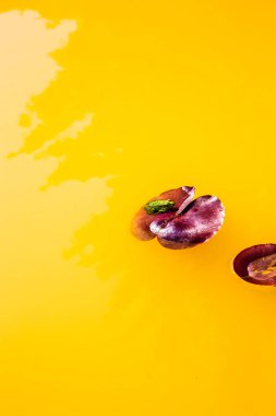 Avrupa 'nın en geniş şelalesi olan Kuldiga' daki Venta Rapid şelalesi Ventas rumba, Letonya 'nın doğal bir anıtı olarak gösterildi..