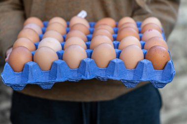 Tepside ya da yumurta kutusunda organik kahverengi yumurta tutan kadınlar. Bakkal veya kahvaltı için kartonda tavuk yumurtası..