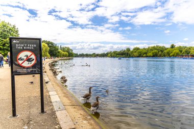 Londra, İngiltere - 22 Haziran 2024: Serpentine Pond Hyde Parkı 'ndaki Kuşları Besleme İşareti