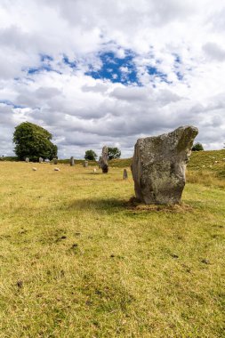 Avebury Neolitik Henge Taş Anıtı etrafında otlayan koyunlar. İngiltere 'nin güneybatısındaki Wiltshire, Avebury köyü çevresinde yeni taş devri..