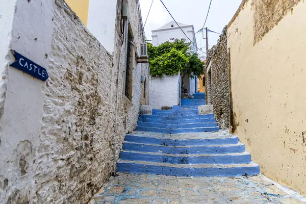 Yunanistan 'ın Symi kentinde Bitkilerle Evler ve Çiçek Kapları Arasındaki Mavi Adımlar