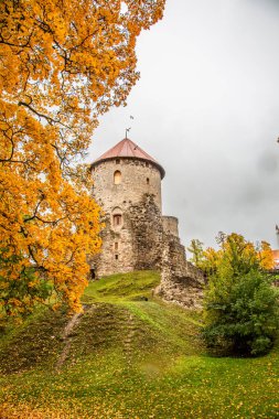 Sonbaharda ortaçağ şatosu. Sarı ve turuncu ağaçlarla çevrili taş kuleleri olan sonbahar manzarası. Letonya 'daki Cesis kalesi