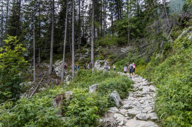 Strbske Pleso, Slovakya - 17 Temmuz 2023: Dağ yolunda bir grup genç yürüyüşçü.