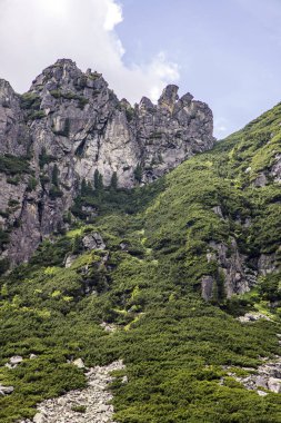Vysoke Tatry Tatra Dağları Slovakya 'da Mala Öğrencisi Dolina.