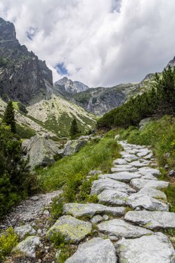 Slovakya 'nın Tatry dağlarındaki Mala Öğrenci Dolina Vadisi boyunca bulutlu gökyüzü yolu.