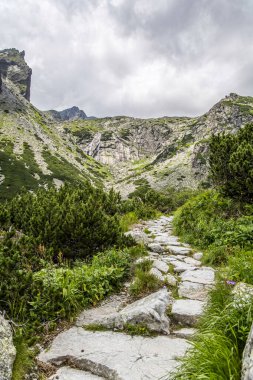 Slovakya 'nın Tatry dağlarındaki Mala Öğrenci Dolina Vadisi boyunca bulutlu gökyüzü yolu.