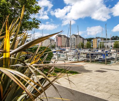 Portishead, UK- 10 Ağustos 2023: güneşli bir yaz gününde tekne ve yatlarla dolu liman..