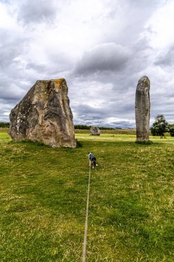Avebury Neolitik Henge Anıt Taşları 'nda yürüyen köpek. İngiltere' nin güneybatısında, Wiltshire 'daki Avebury köyünün çevresinde yeni taş devri..