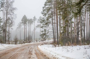 Her iki tarafında karla kaplı ağaçlarla kaplı sisli toprak yol manzarası.
