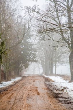 Her iki tarafında karla kaplı ağaçlarla kaplı sisli toprak yol manzarası.