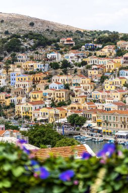 Symi, Yunanistan - 10 Mayıs 2024: Suriye adasındaki renkli evler, önünde mor çiçekler bulunan Dodecanese adaları.