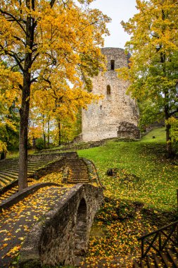 Sonbaharda ortaçağ şatosu. Sarı ve turuncu ağaçlarla çevrili taş kuleleri olan sonbahar manzarası. Letonya 'daki Cesis kalesi