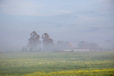 Orman ve Arazi ile Sisli Arazi.