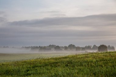 Orman ve Arazi ile Sisli Arazi.
