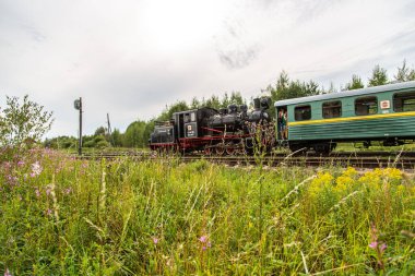 Aluksne, Letonya - 25 Eylül 2023: Buharlı lokomotif turistleri gezintiye çıkarıyor. Demiryolunda buhar trenini daralt. Antika buharlı tren yolculuğu.
