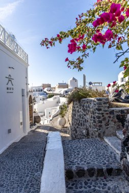 Santorini, Yunanistan - 15 Ekim 2024: Bougainvillea çiçekleri ve Mia 'nın Oia, Santorini' deki Restoranı ile güzel bir kaldırım taşı sokağı.