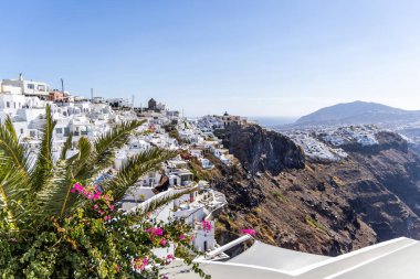 Santorini, Yunanistan - 15 Ekim 2024: Santorini 'de açık mavi bir gökyüzü altında beyaz evler ve canlı kırmızı bougainvillea manzarası. İkonik Yunan adası cazibesi