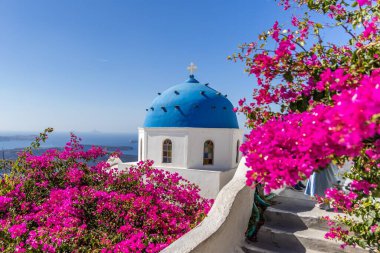 Santorini 'deki göz kamaştırıcı mavi kubbeli kilise canlı pembe begonvillerle çevrili Ege Denizi ve volkanik adaların nefes kesici manzaralarıyla