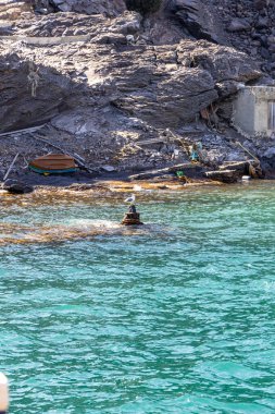 Kristal sularıyla Nea Kameni Kaplıcaları Santorini Kayalık kıyı şeridi ve dinlenen bir martı.