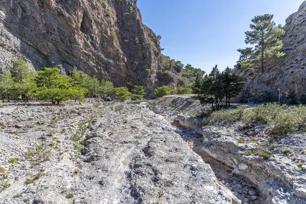 Taş Köprü. Samarya Vadisi 'nin sonundaki Kamalaki' den manzara etkileyici kayalıkları, taş yolu ve bereketli bitkileri gösteriyor. Agia Roumeli 'nin sakin sahil köyüne götürüyor..