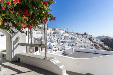 Santorini, Yunanistan - 15 Ekim 2024: Beyaz boyalı evler ve çiçek açan kırmızı çiçeklerle Santorini köyü. Geleneksel Yunan adası güzelliği ve mavi gökyüzü