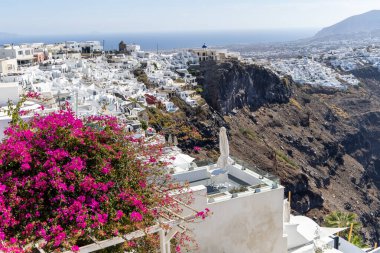 Santorini, Yunanistan - 15 Ekim 2024: Santorini 'nin beyazlatılmış evleri ve kayalıklara ve denize bakan canlı pembe bougainvillea manzarası. İkonik Yunan ada mimarisi