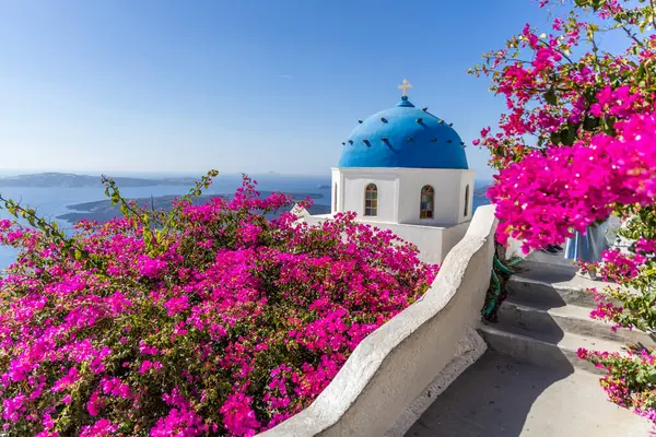 Santorini 'nin renkli bougainvillea ve panoramik Ege Denizi manzaralı parlak mavi gökyüzü altında ikonik mavi kubbeli kilisesi.
