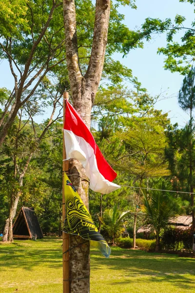 Een Indonesische Vlag Hangend Aan Een Dennenboom Het Bos — Stockfoto