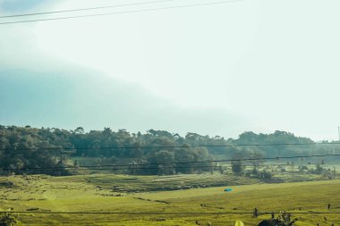 Tepeleri, pirinç tarlaları, Endonezya 'daki Saung ağaçları olan doğal manzara.