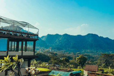 Tepeleri, pirinç tarlaları, Endonezya 'daki Saung ağaçları olan doğal manzara.