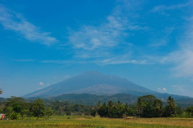 Tepeleri, pirinç tarlaları, Endonezya 'daki Saung ağaçları olan doğal manzara.