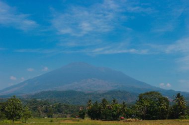 Tepeleri, pirinç tarlaları, Endonezya 'daki Saung ağaçları olan doğal manzara.