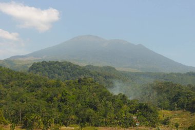 Tepeleri, pirinç tarlaları, Endonezya 'daki Saung ağaçları olan doğal manzara.