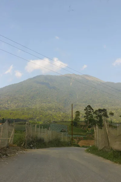 Natuurlijke Omgeving Met Mount Ciremai Met Heuvels Rijstvelden Saung Bomen — Stockfoto