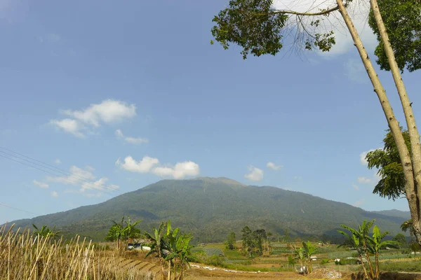 Paysage Naturel Avec Mont Ciremai Avec Collines Rizières Saung Indonésie — Photo